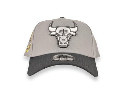 Chicago Bulls Champions NBA New Era Cap 9FORTY A-Frame Snapback Hat